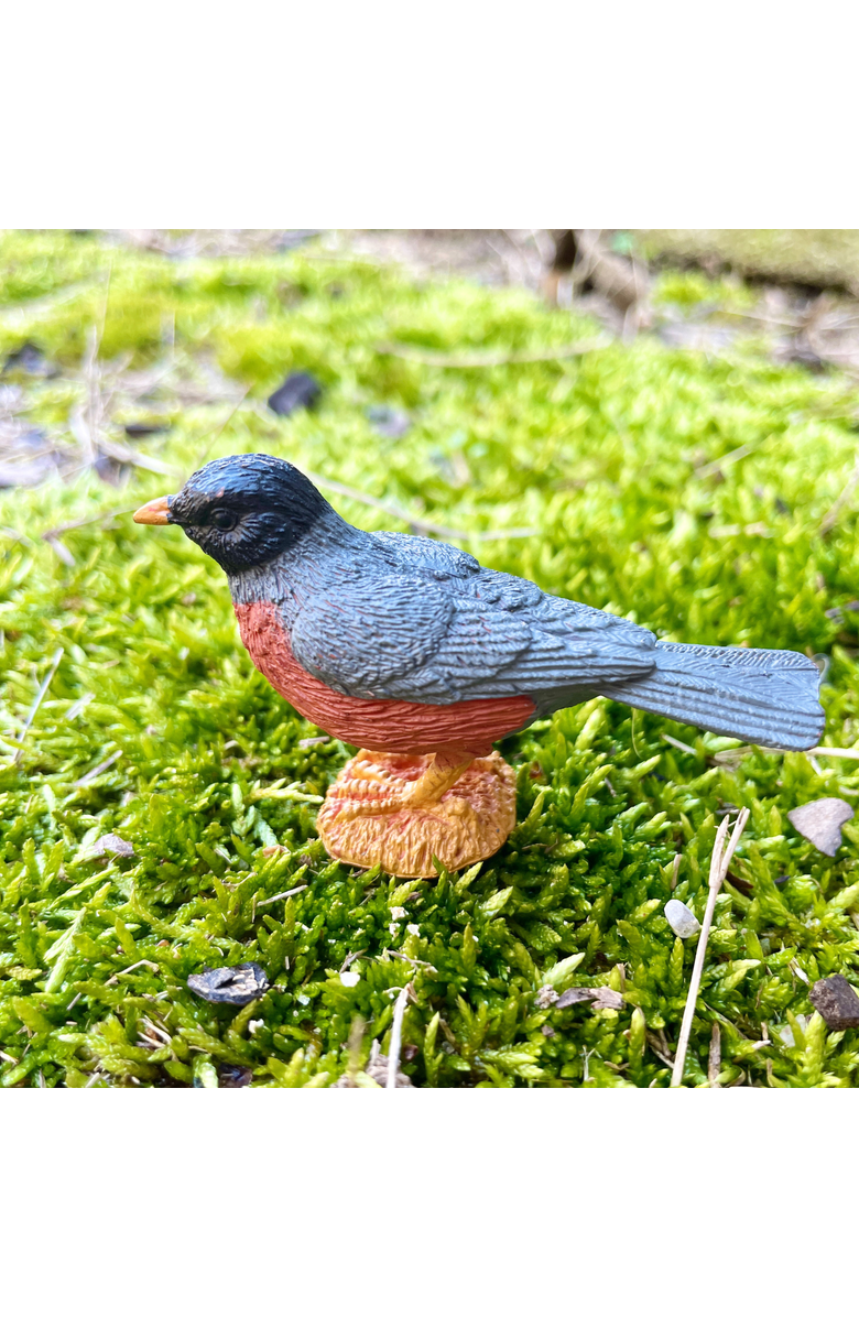 Safari Ltd. Backyard Birds Toy, Alternate, color, NO COLOR