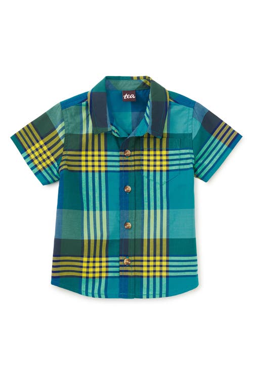 Tea Collection Plaid Button Up Woven Shirt In Amazonian Plaid