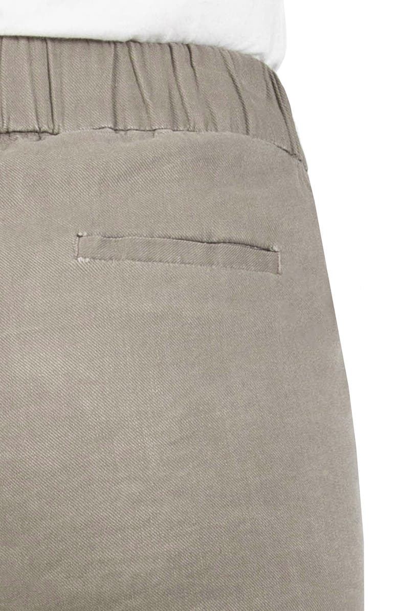 KUT from the Kloth Pull-On Pants, Alternate, color, 