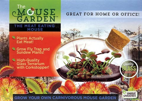 Carnivorous Mouse Garden Terrarium Kit - Glass & Planter to Grow Venus Flytrap and Sundew Plants