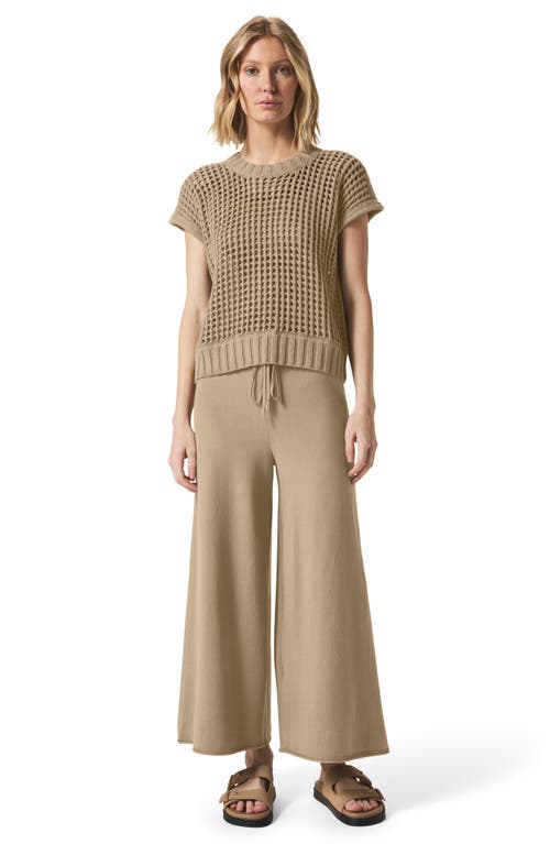 Splendid X @cellajaneblog Pointelle Sweater Vest In Brown