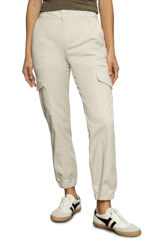 Sanctuary Rebel Wide Leg Standard Rise Crop Pant In Birch In Pumice Stone