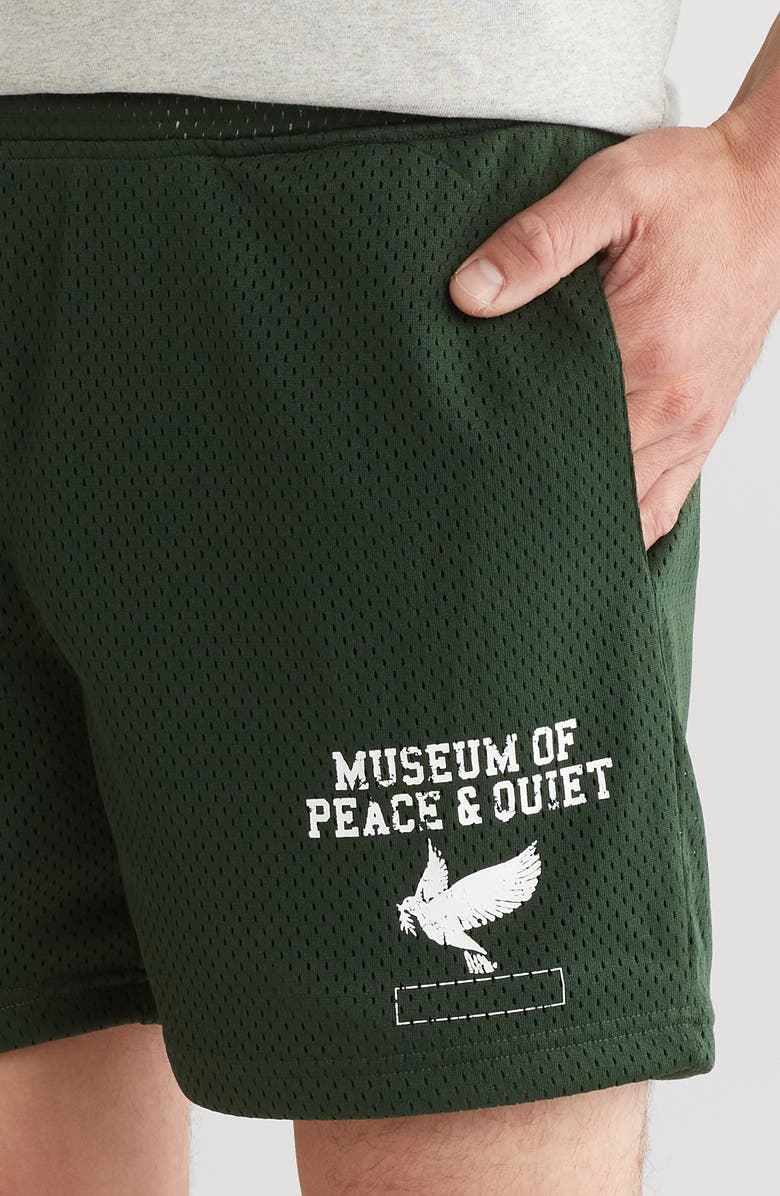 Museum of Peace & Quiet P.E. Mesh Shorts, Alternate, color, 