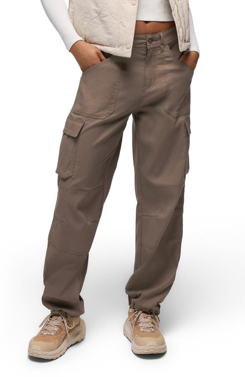 Prana Zion Cargo Pants In Brown