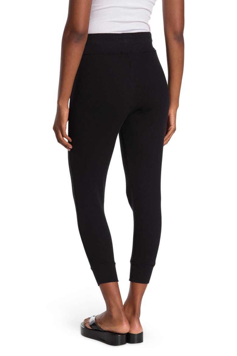 thermal Knit Drawstring Joggers, Alternate, color, BLACK