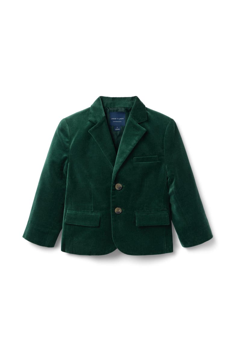 The Velvet Party Blazer, Main, color, Green