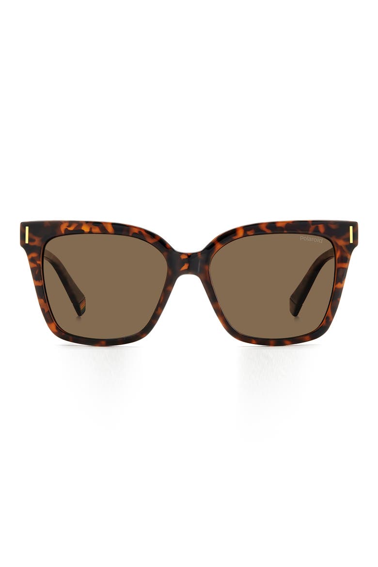 54mm Polarized Cat Eye Sunglasses, Alternate, color, HAVANA/ BRONZE POLAR