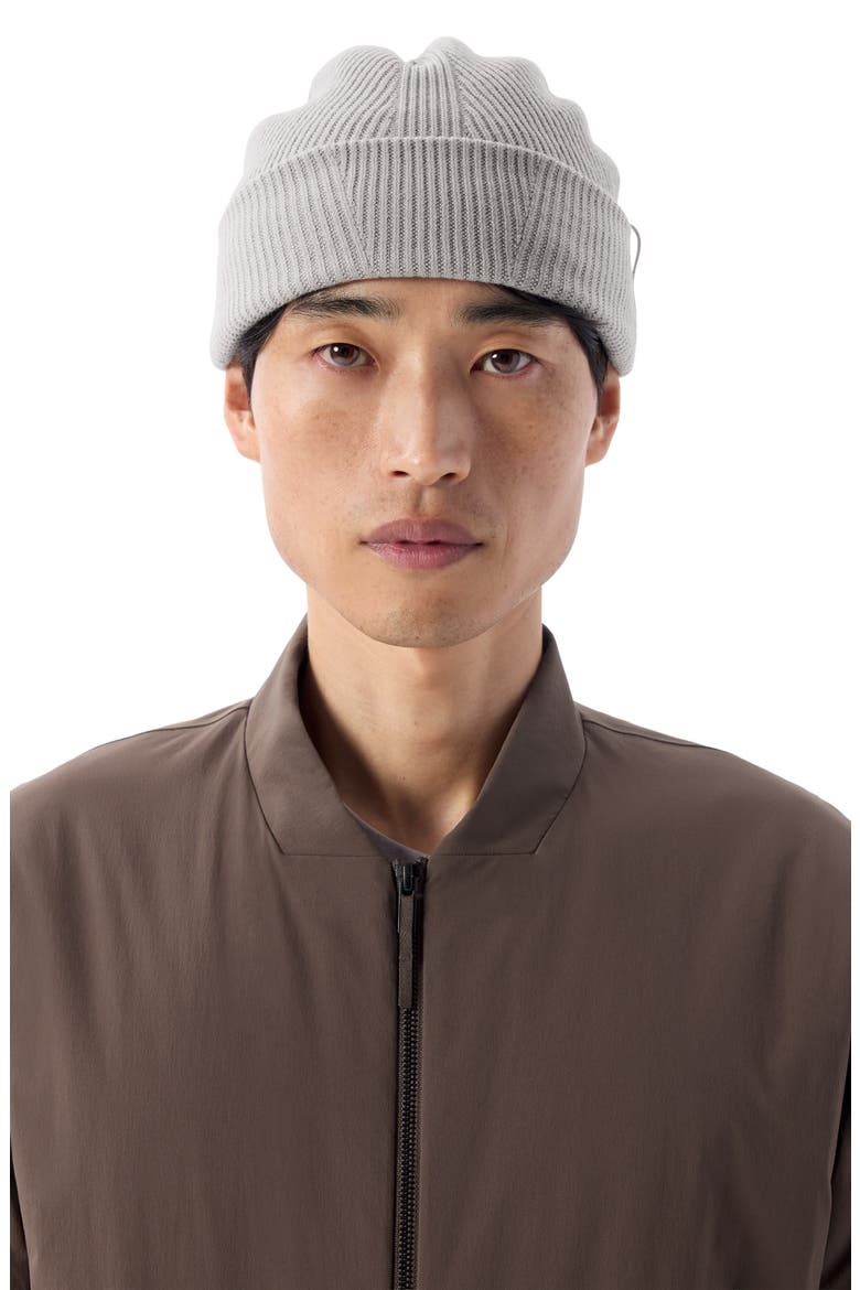 Conic Wool Toque, Alternate, color, SILKSTONE