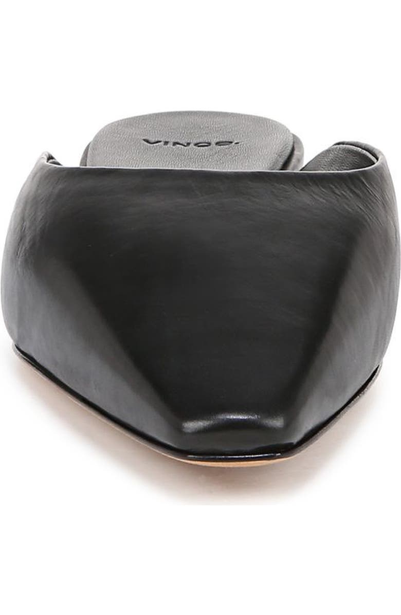 Vince Ana Mule, Alternate, color,