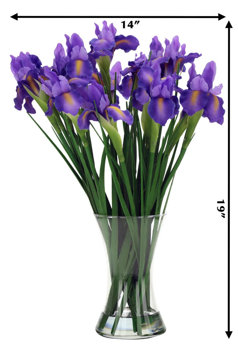 Vase of Iris, Alternate, color, Violet