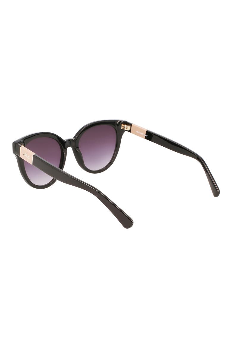 Le Pliage 53mm Gradient Round Sunglasses, Alternate, color, BLACK