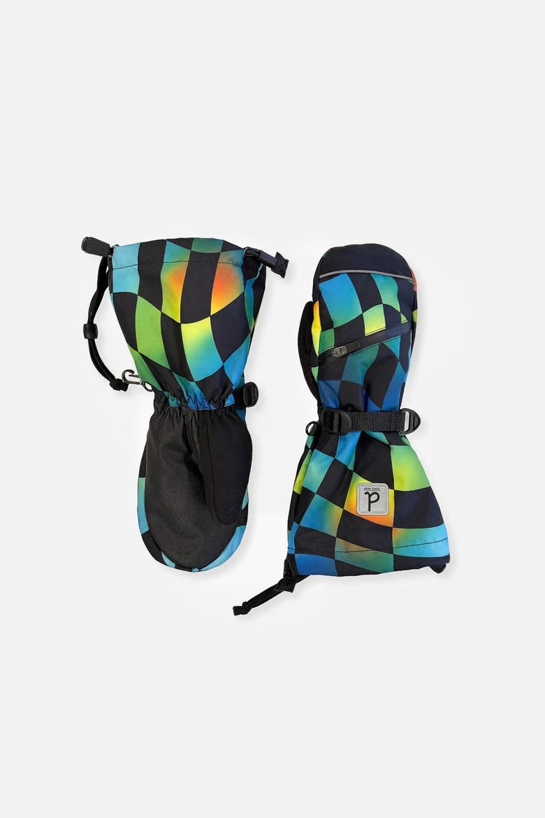 Checkered Teknik Waterproof Cordura Reinforced Winter Mittens, Main, color, Blue Checkered Print