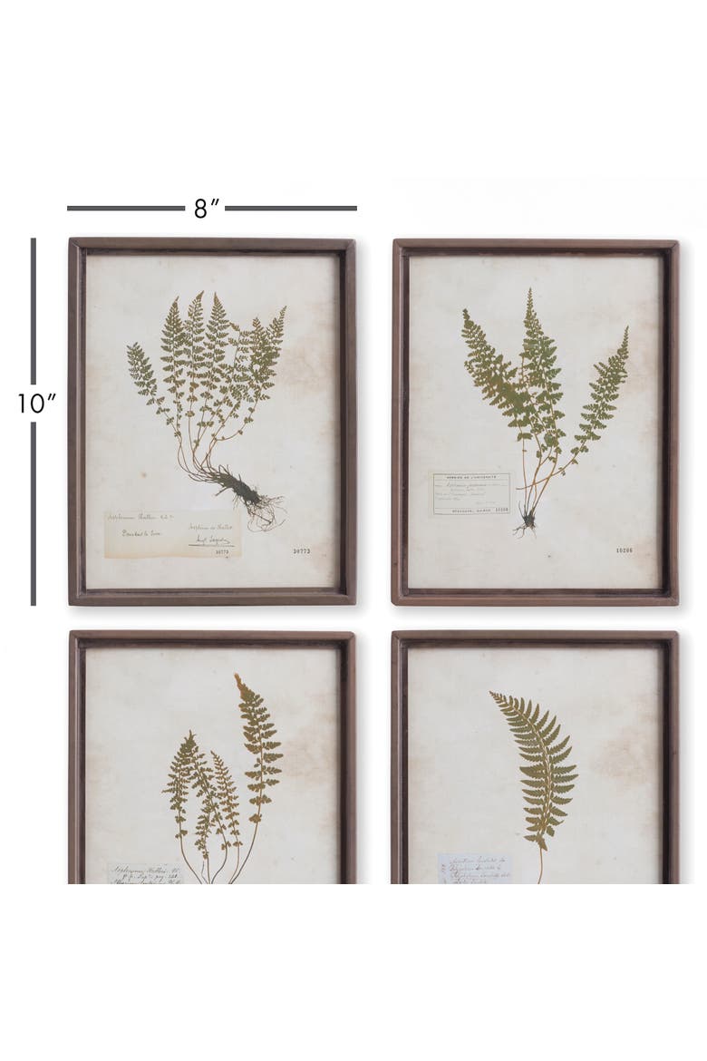 Petite Frond Prints Set of 4, Alternate, color, Off-White