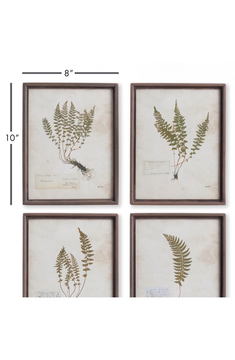 Napa Home & Garden Petite Frond Prints Set of 4, Alternate, color, Off-White