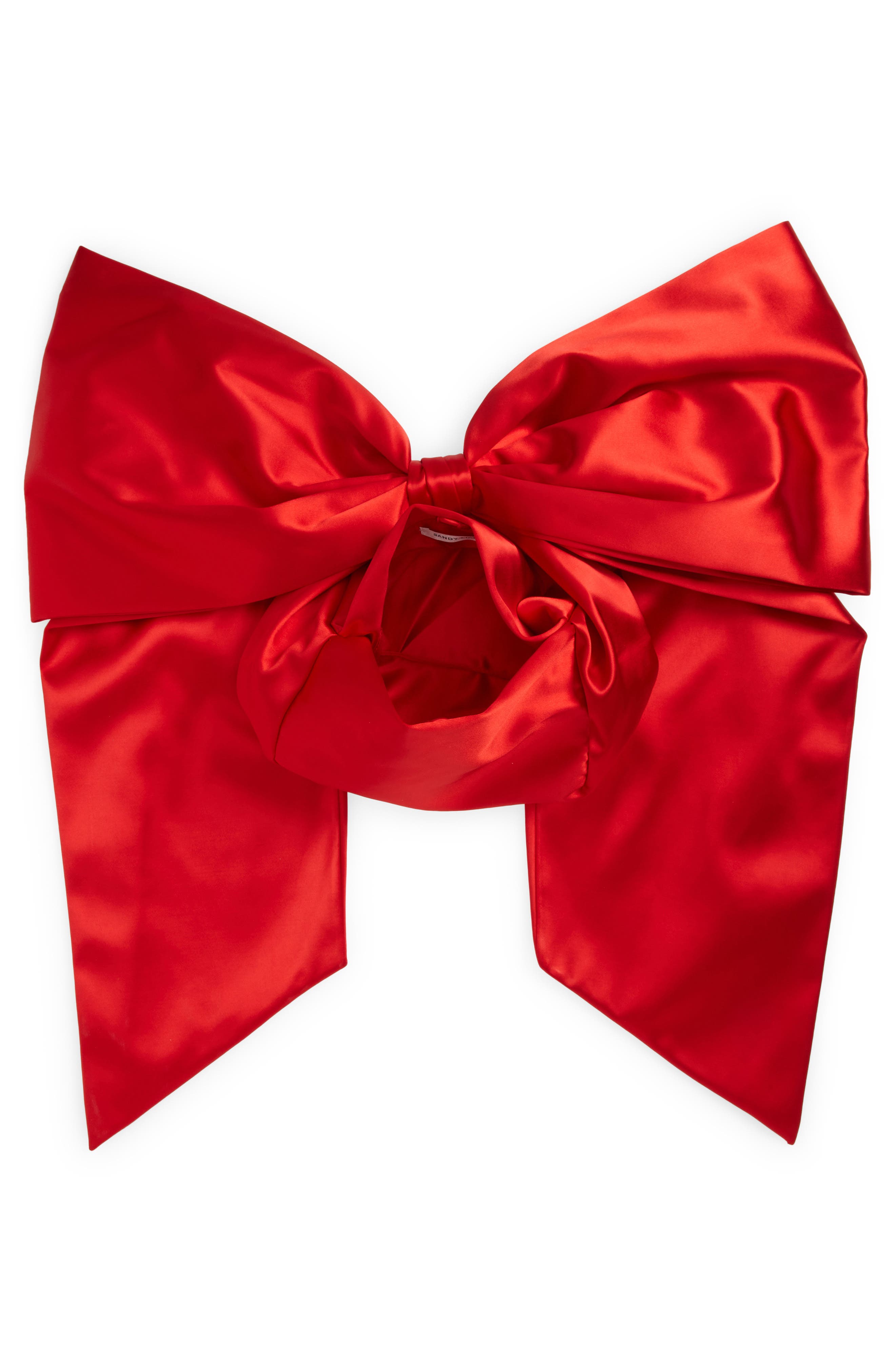 Sandy Liang Small Regalo Satin Handbag, Alternate, color, 