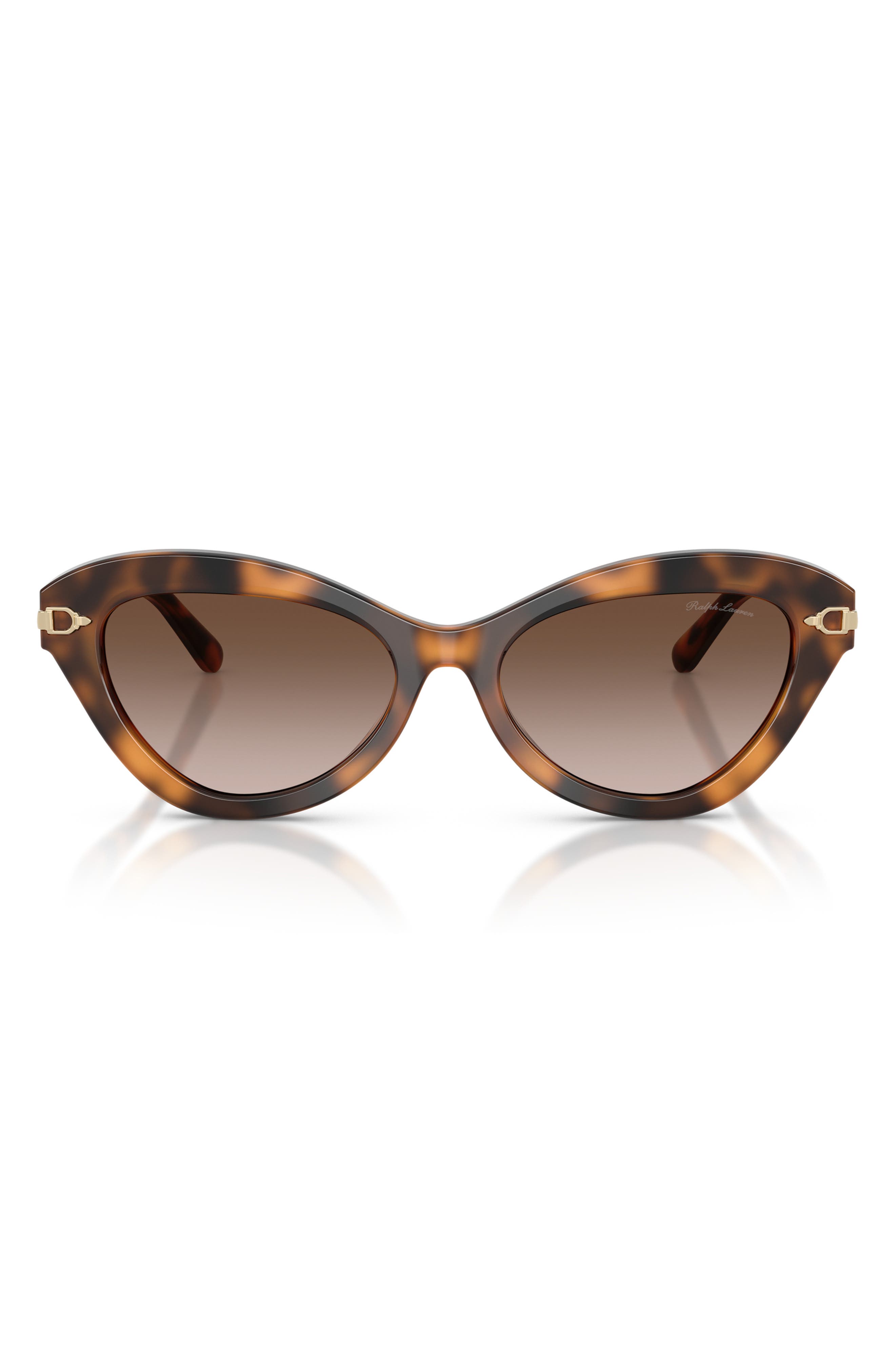 selected HAVANA / GRADIENT BROWN