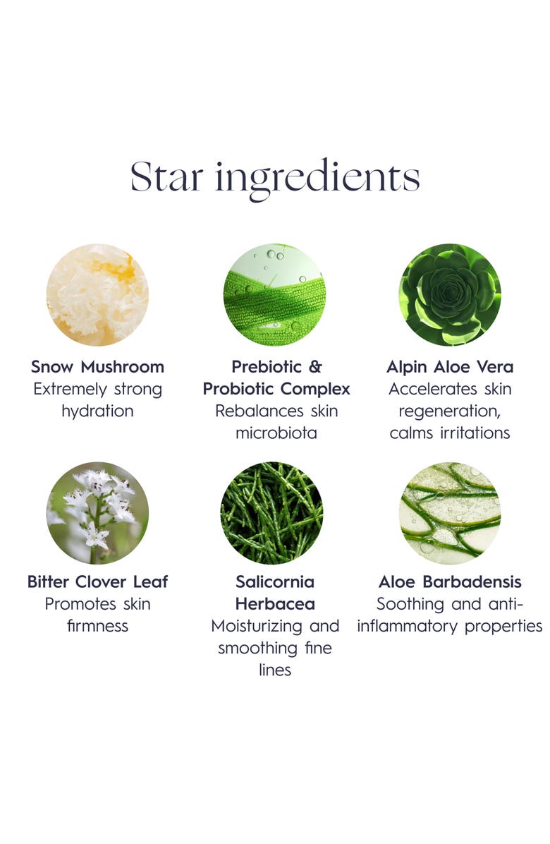 VERDILAB Natural Detox Replenishing Face Mask, Alternate, color, 