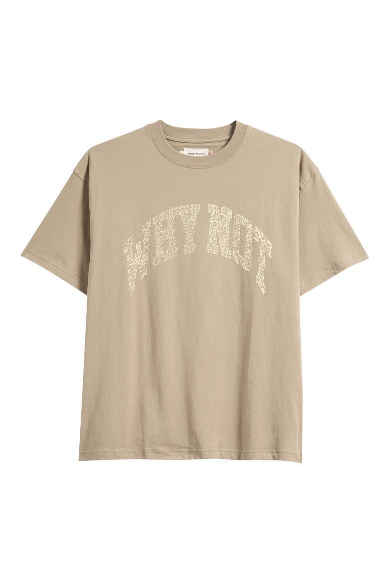 Why Not Oversize Cotton T-Shirt, Alternate, color, TAUPE