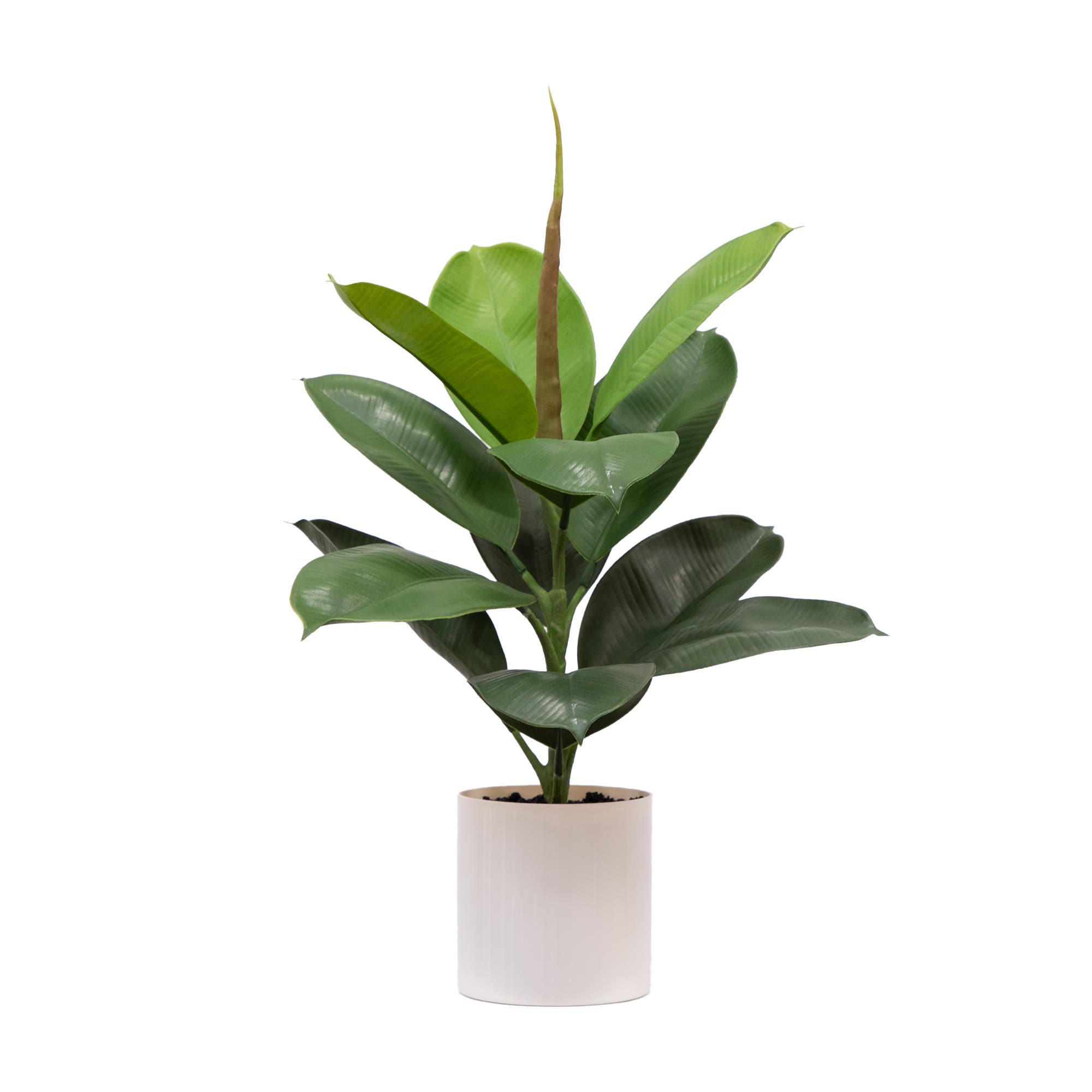 selected Green