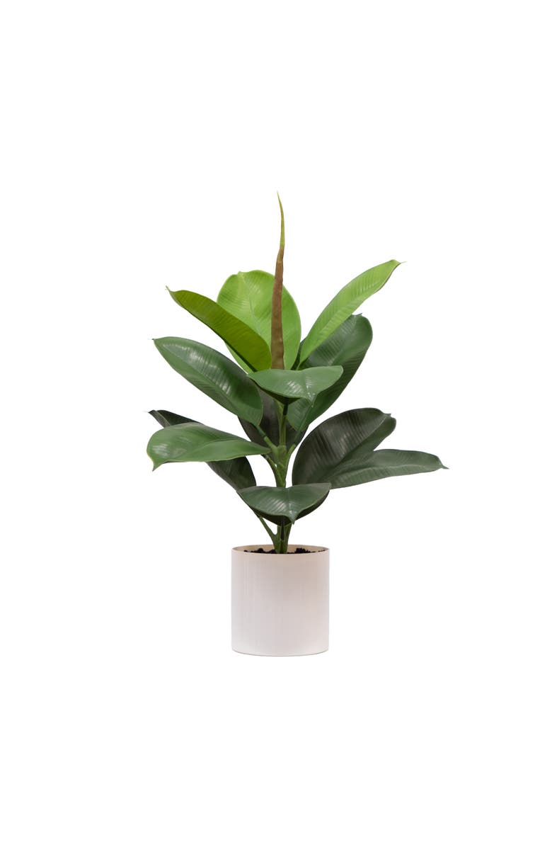 NEARLY NATURAL 20-in Artificial Fiddle Leaf Fig Plant, Main, color, Green