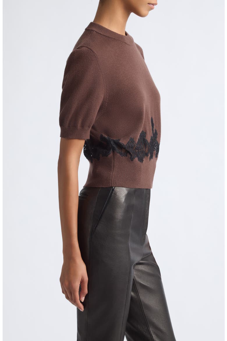 Vika Short Sleeve Merino Wool Sweater, Alternate, color, WALNUT/ JET
