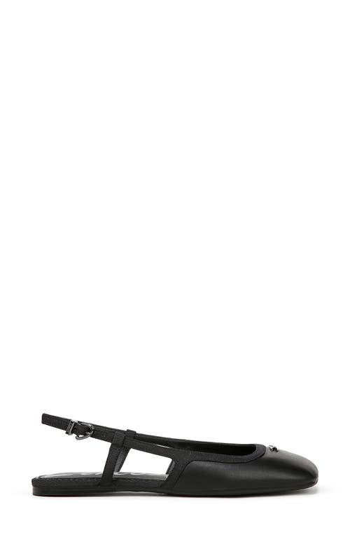 Shop Circus Ny By Sam Edelman Allie Slingback Flat In Black
