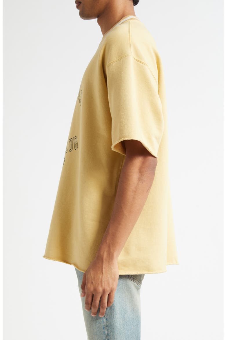 Journey Oversize Shirt Sleeve Graphic Sweatshirt, Alternate, color, RATTAN