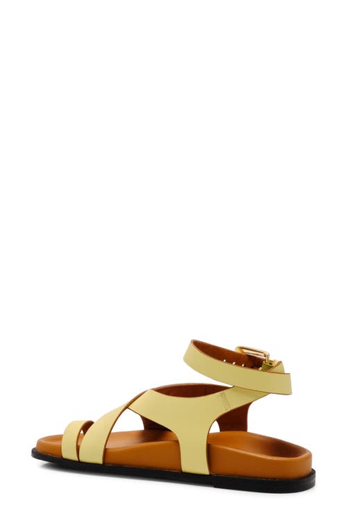 Free People Anya Ankle Strap Toe Loop Sandal