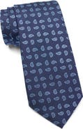 TOM BAINE Paisley Tie