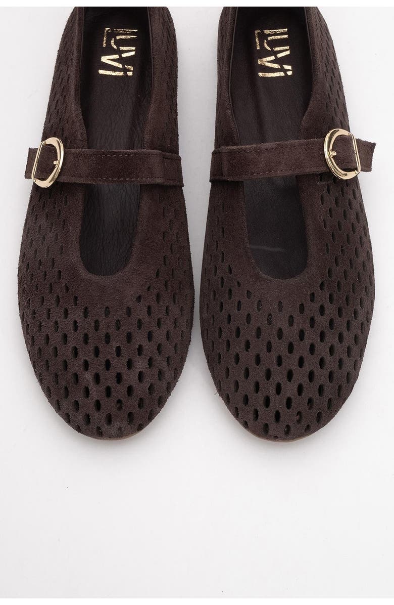 Forever & Always Shoes Arian Leather Ballet Flat, Alternate, color, Brown Suede