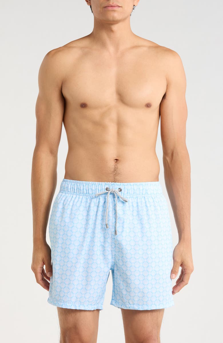 Vintage Summer Printed Volley Swim Shorts, Main, color, Blue