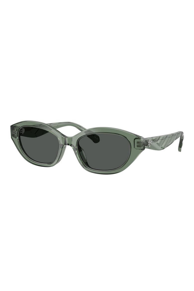 52mm Irregular Sunglasses, Alternate, color, TRANSPARENT SAGE / DARK GREY