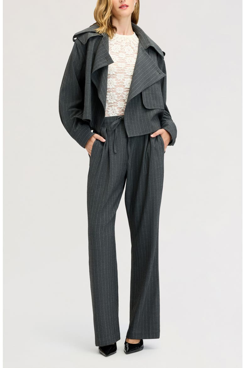 Pinstripe Pleated Wide Leg Pants, Alternate, color, GREY PINSTRIPE