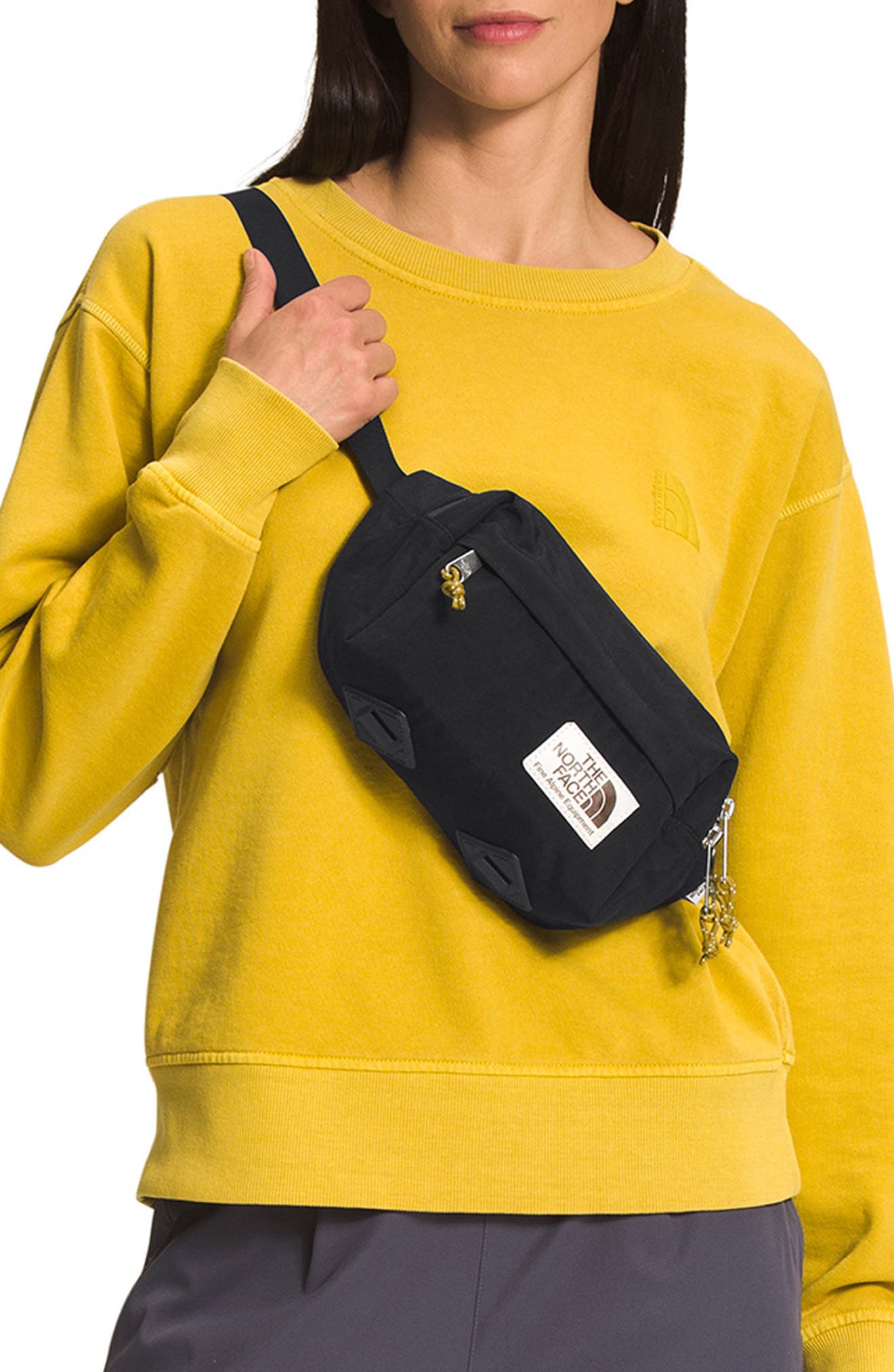 The North Face Berkeley Lumbar Water Repellent Recycled Nylon Belt Bag, Alternate, color, 