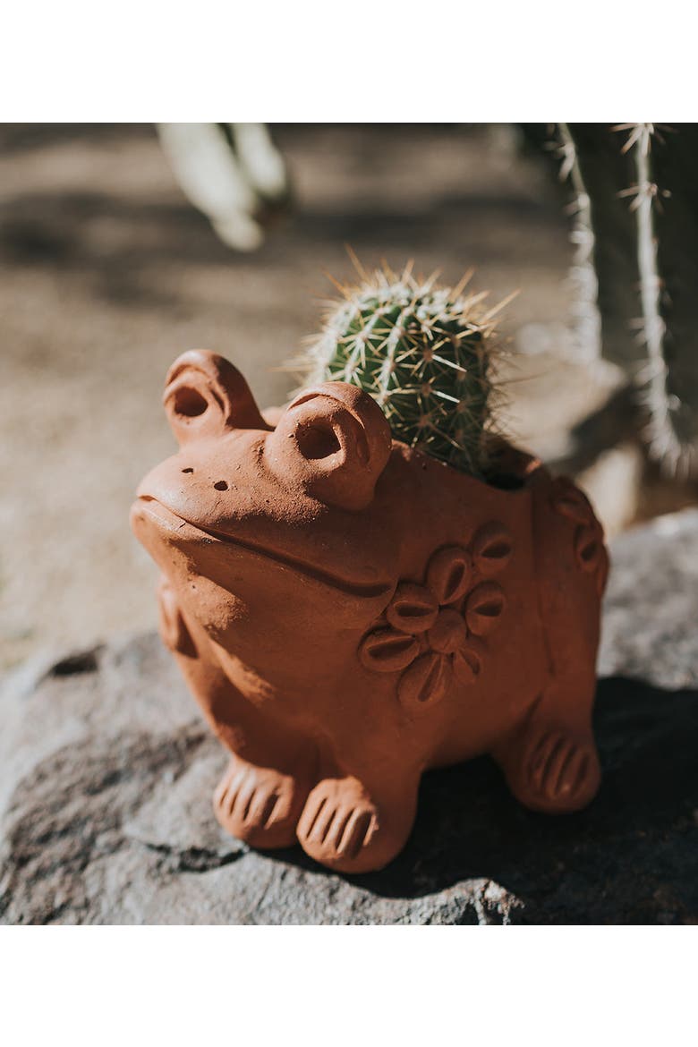 Rakshana Frog Plant Pot - Terracotta, Alternate, color, Terracotta