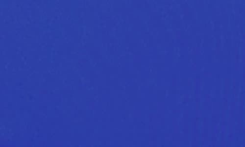 Citrus Solid Triangle Bikini Top In Blue