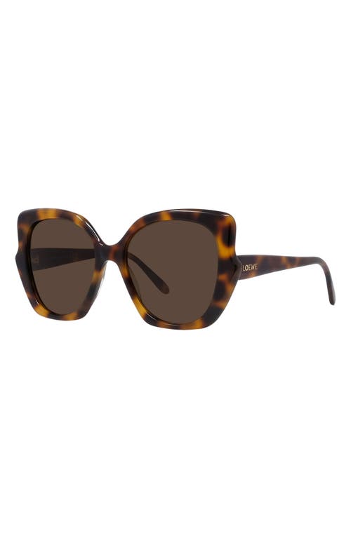 Loewe Thin 55mm Geometric Sunglasses In Brown