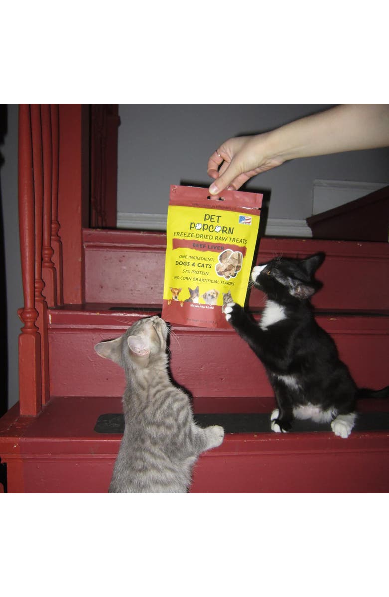 Pet Popcorn Freeze Dried Raw Treats, Beef Liver, 2.5oz Bag, Dog & Cat Snacks, Alternate, color, Multicolored