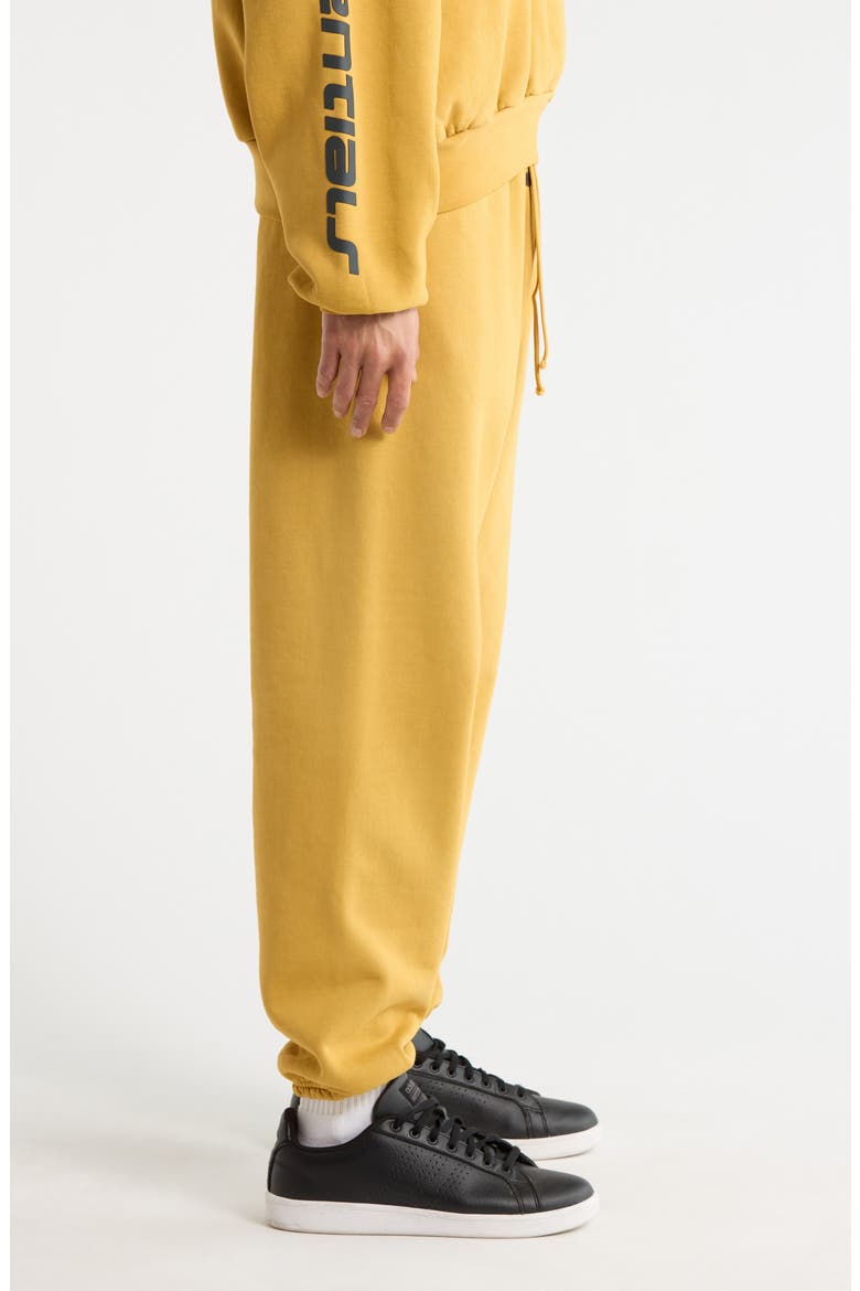 Classic Heavy Cotton Fleece Sweatpants, Alternate, color, CANYON