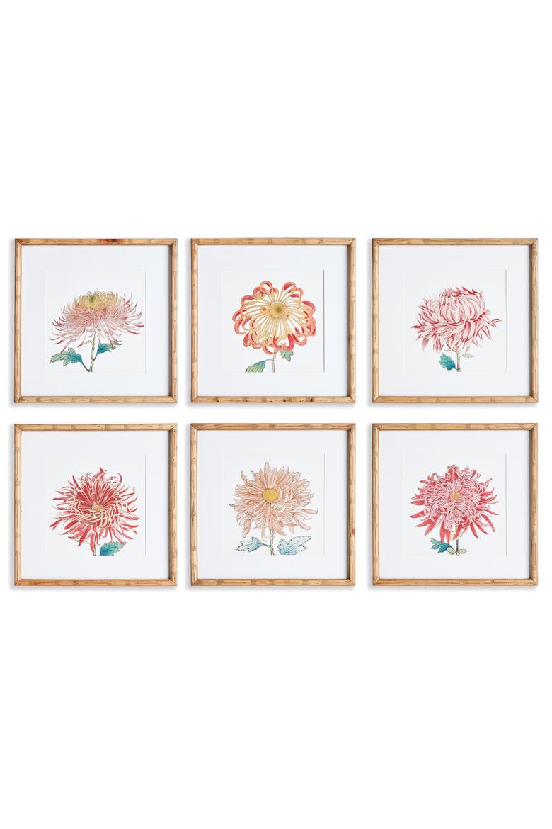 Colorful Chrysanthemum Prints St/6, Main, color, Pink