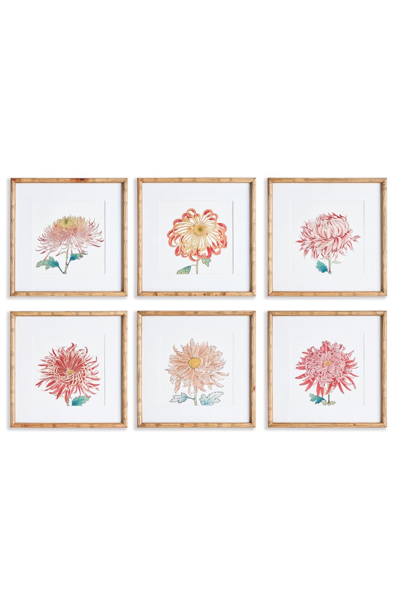 Napa Home & Garden Colorful Chrysanthemum Prints St/6, Main, color, Pink