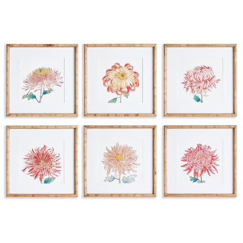 Colorful Chrysanthemum Prints St/6