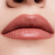 Estée Lauder Pure Color Long-Lasting Cream Lipstick