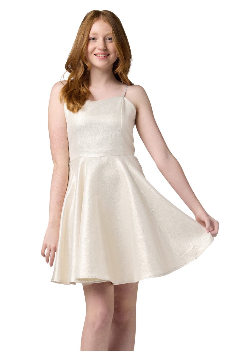 Un Deux Trois Fit and Flare Party Dress in Longer Length, Main, color, Silver