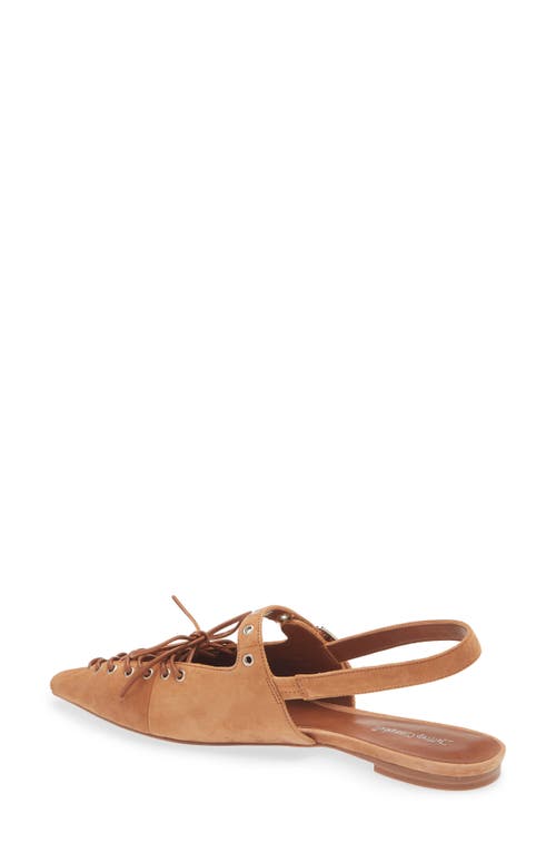 Jeffrey Campbell Geralt Pointed Toe Slingback Flat In Tan Suede