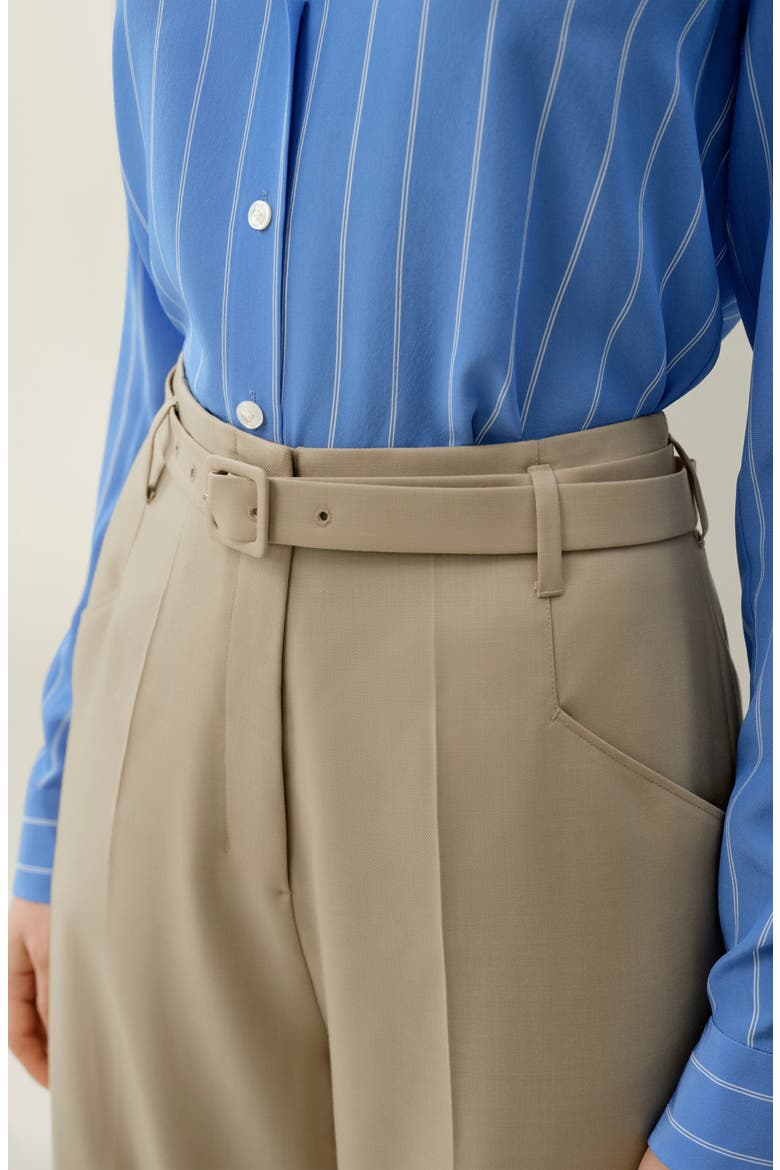 Women's Silk-Wool Blend High-Waisted Wide-Leg Pants, Alternate, color, Almond