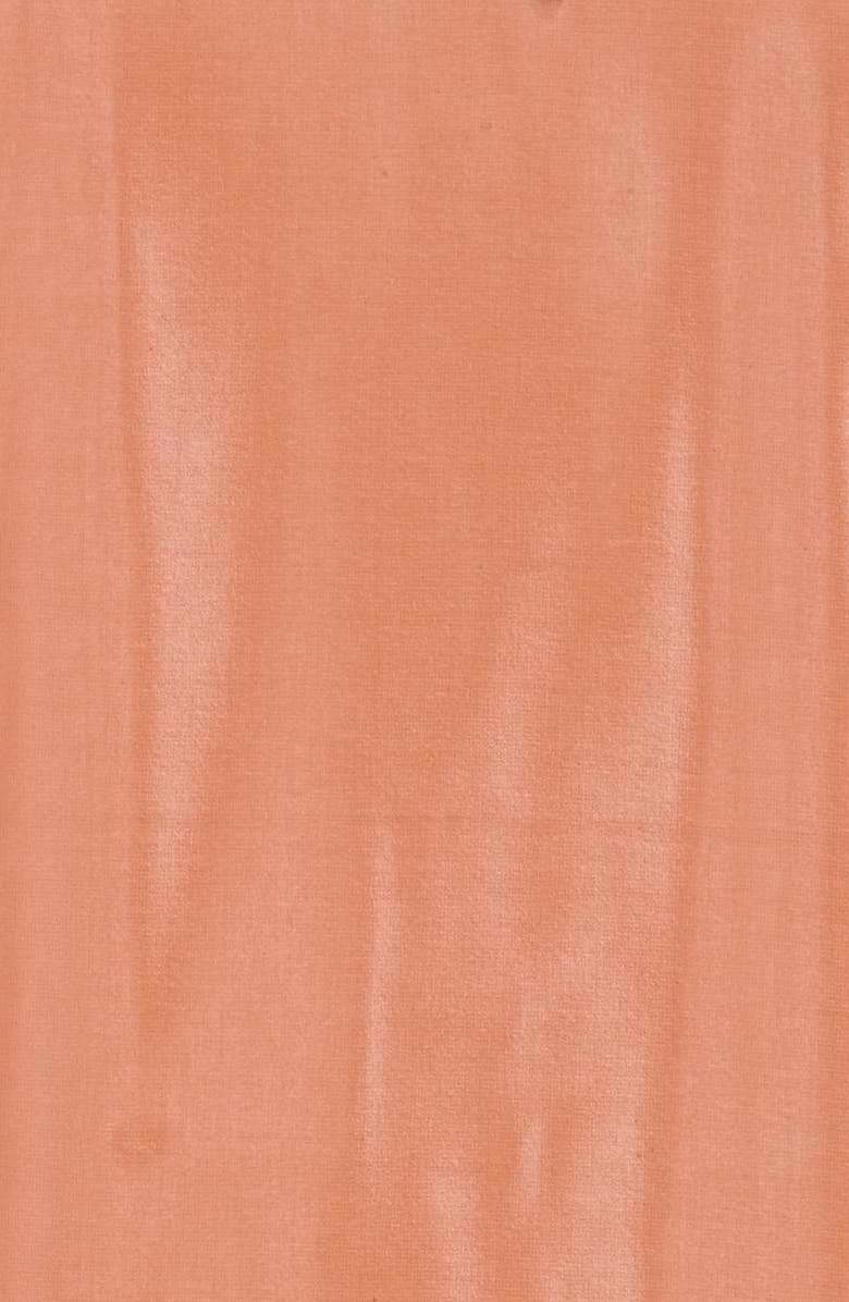 Satin Border Chiffon Scarf