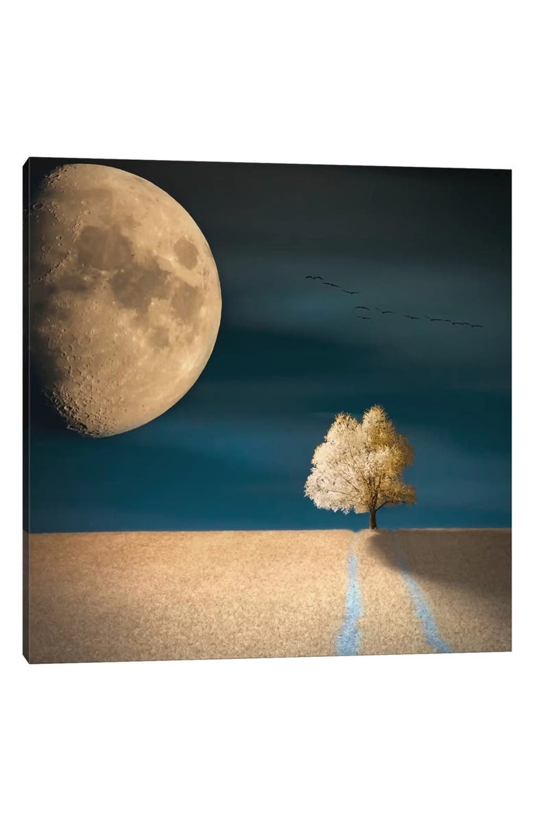 iCanvas GMO Art Print by Piotr Krol, 12"x12", Main, color, Blue/ Green