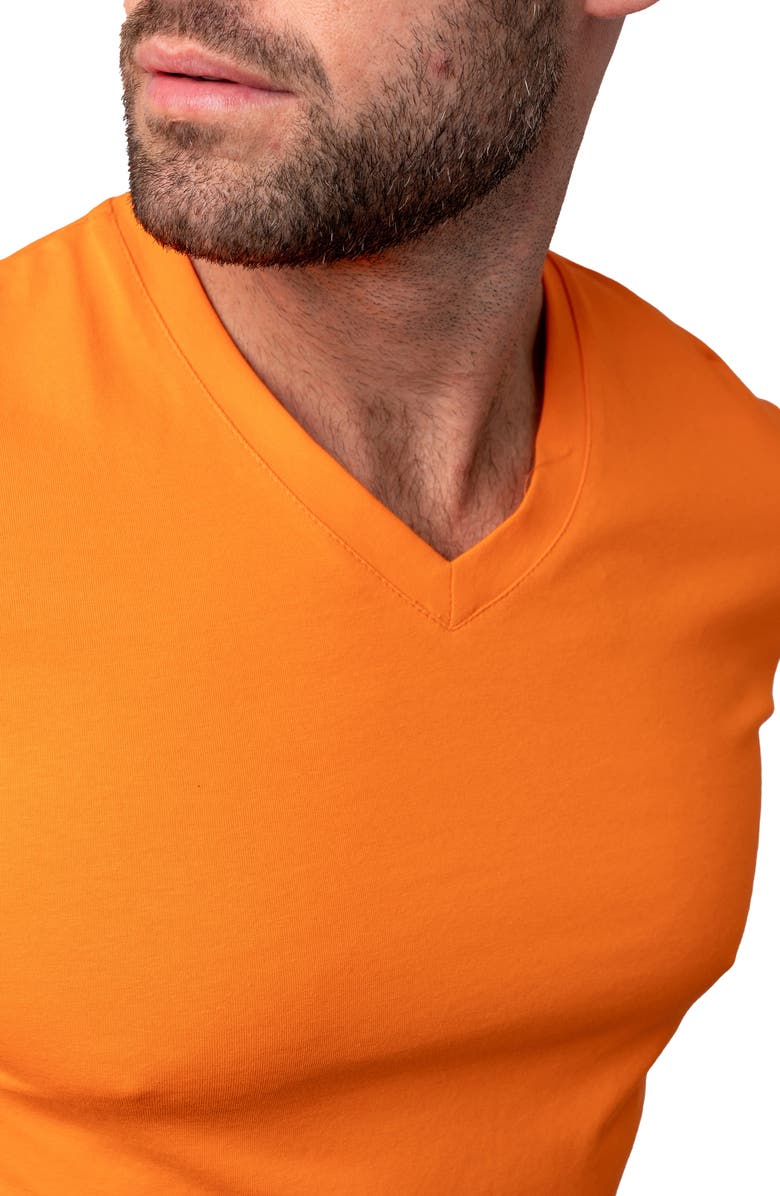 Maceoo Vivaldi V-Neck Cotton T-Shirt, Alternate, color, Orange