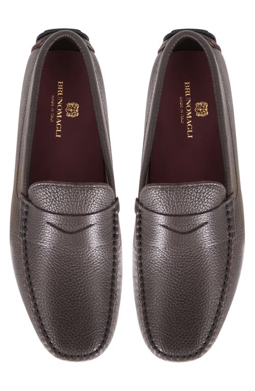 Bruno Magli Taranto Penny Loafer In Brown Tumbled